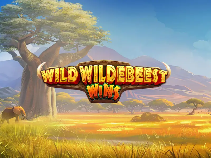 Wild Wildebeest Wins no betão bet. Confie no betao bet é confiável.